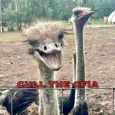 tumbalo5's profile picture. 900 bullets on a cold dark night.  some killed, some not, suffering the cold night thru.  one country slipped into darkness threatening life & liberty.