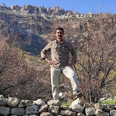 arperest198054's profile picture. 