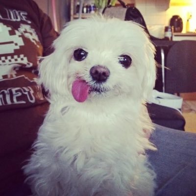 ___djkwon's profile picture. 이 또한 지나가리라