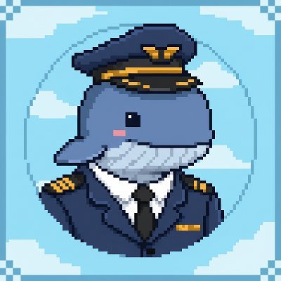 0xNimool's profile picture. Pilot On Air and Chain 
Web3 Developer
AI Researcher