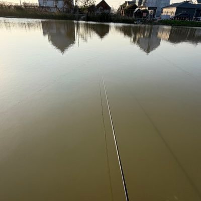 tgg918666's profile picture. 