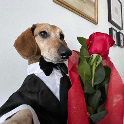 jjeoeom467870's profile picture. 끙 챠 끙 챠 🐢