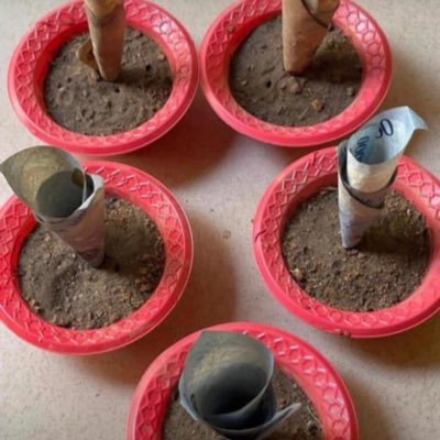 Quid_Dave's profile picture. 