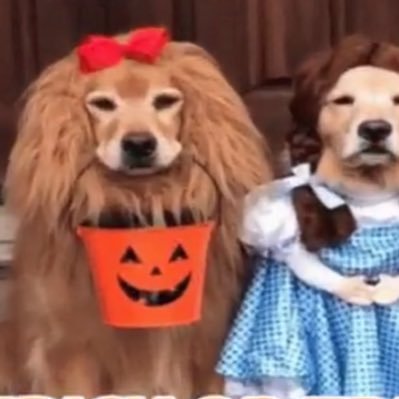 sanemrocks's profile picture. null!