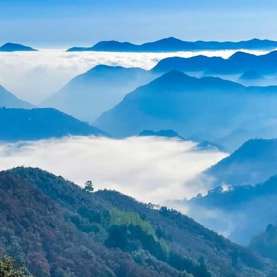 yola_gar77's profile picture. 