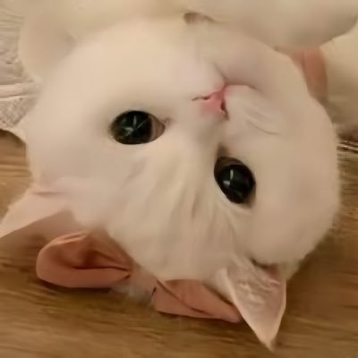 LEEalize_nt's profile picture. ᴍᴏᴍᴍʏ ᴏꜰ #태용 #텐 #재민 @harit_keng knp