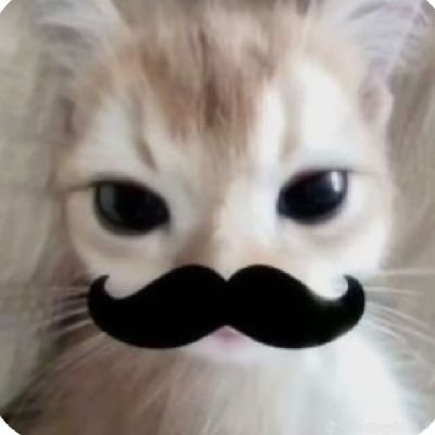 abr6zame's profile picture. ⠀⠀⠀  ⠀soy un gato con acceso a internet
⠀⠀⠀⠀        ⠀⠀⠀⠀⠀⠀⠀