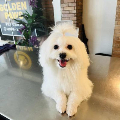 andyr0yce's profile picture. 