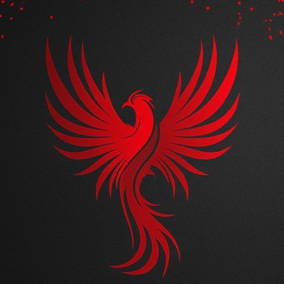 NelvaAPP's profile picture. Artificial intelligence Powered Systems for Measuring and Optimizing Workforce Performance