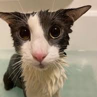 G22itch's profile picture. i am a real person :p