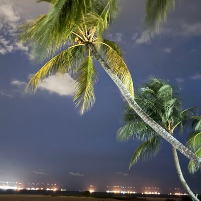 mmdlmyr44010964's profile picture. 