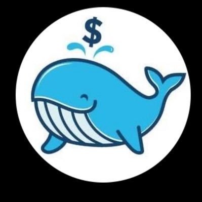 mrcrypto243's profile picture. 