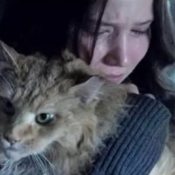 Suma_Yoom1's profile picture. No dejaré que utilicen nuestras lágrimas para su entretenimiento||Se que mi amor era diferente al tuyo, pero también era amor ♥|| Futura Literata 🤑