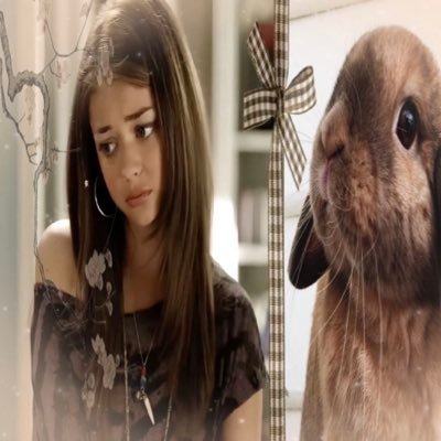 bbunnytopia's profile picture. professional princess | '06 baby | law of assumption