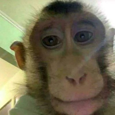 OussamaEssabri4's profile picture. 