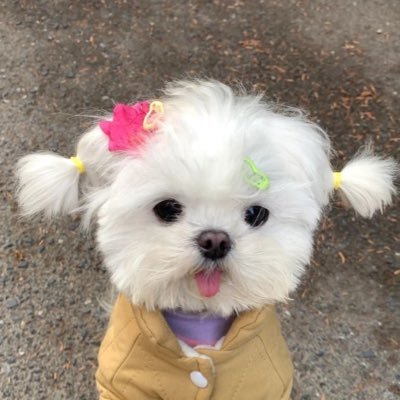 Drinkcesa's profile picture. | soy la loquita d los horóscopos y del skincare | 📖☁️🦋🌷🌈✨