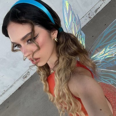 schlottism's profile picture. @lewishamilton @bvb