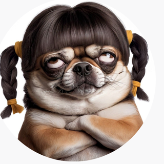 ASSISBRAHUNO's profile picture. Airdrop / Blockchain / DeFi, NFT...
Tudo isso só pra fugir da CLT. 😅