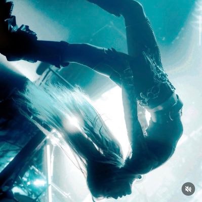 qvests's profile picture. Leader of @AV8Faction ✈️