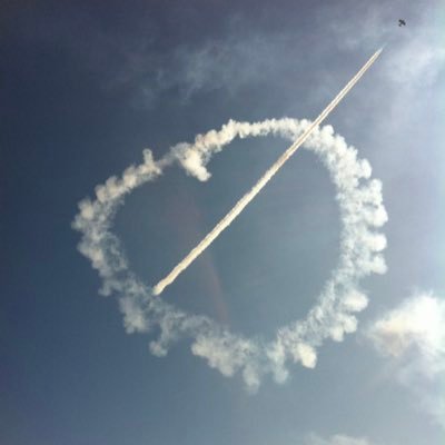 cat22t's profile picture. 🎵 & 🐈‍⬛ &🌳 notice the small stuff; the silences; the spaces; it all matters 💜💚❤️ #Hedgewatchers 🌳 now also 💙@cat22t.bsky.social