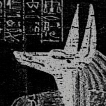 knowitsadream's profile picture. Remember, all I'm offering is the truth. Nothing more. // rp account for ajarbythedoor from recallahollowheart. not associated with anyone