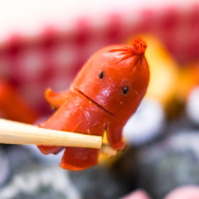 kanwa_2025's profile picture. MAUcc di B1 / Sakana Lab. 代表 / 狩人の会 '25~ / OKR 11 / 写真家とデザイナーを経て美大生になりました / クワカブ飼育