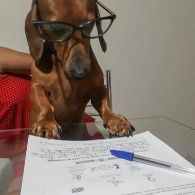 D0uglstudy's profile picture. 