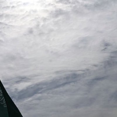 amira1796_'s profile picture. God’s plan is always better than our dreams