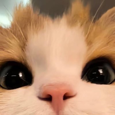 iamaoy_y's profile picture. ♡ ɢᴏᴛ𝟩 ✿ ʏɪɴ ღ ᴡᴀʀ 🐰 ʙᴏɴʙᴀᴅᴏʟ 🖤 ᴍᴀʀᴋꜱɪᴡᴀᴛ || #GOT7 || #YINWAR || #Bonnadol || #Marksiwat || #iamaoy_ygift || #iamaoyหิ้วของ