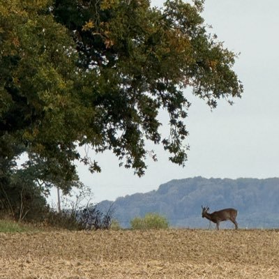 naltathan's profile picture. priv of @_nathanf38