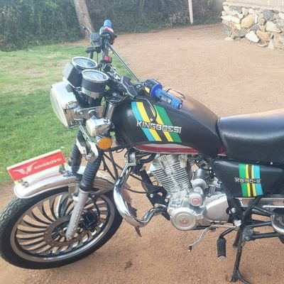 peterelia208's profile picture. Director_Elly