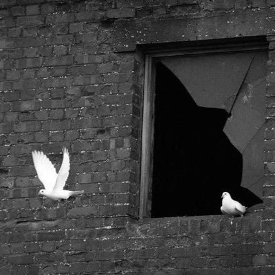 Yasxzhj12's profile picture. سَارِبٌ فِي الهَوَاجلِ وَحْدِي أبحَثُ عنِّي!