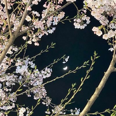 effftyh's profile picture. 