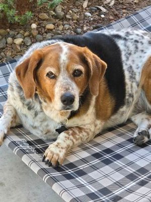 DwayneNels93042's profile picture. 