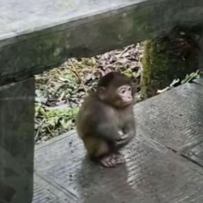 Holofernes334's profile picture. 