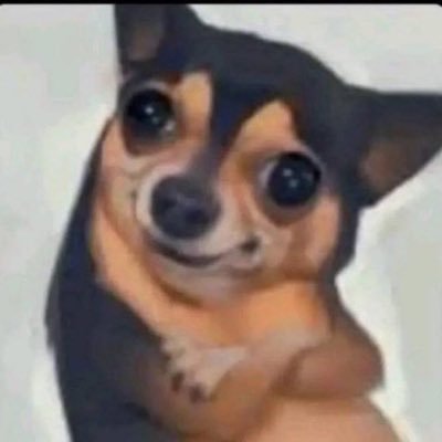 Litsoo1's profile picture. 