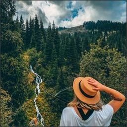 Z747Kcr9J46K38L's profile picture. 