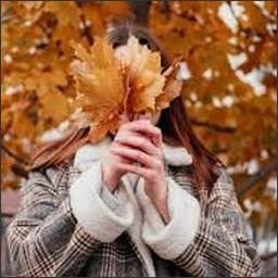 v86gbdOwo0oU5's profile picture. 