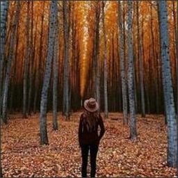 ECI10rtzIbKa4A's profile picture. 