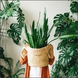 46Eld9x4vfOKe's profile picture. 