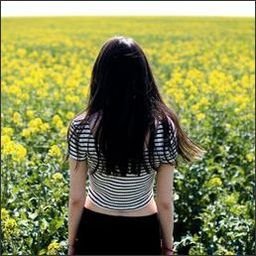 P5syv9X0bTqn5OH's profile picture. 