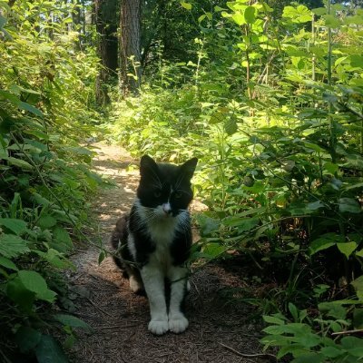 Lavriki0819's profile picture. ✝️ American Patriot🇺🇸🇺🇸 | Passionate about photography, hiking, and food | Christian | Forever supporting Trump 🇺🇸🇺🇸🇺🇸  / 🚫 Opposed to pornographic c