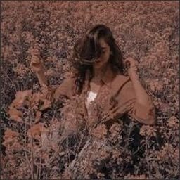 Naabe291489's profile picture. 