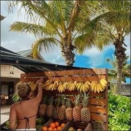 Orerho1437's profile picture. 