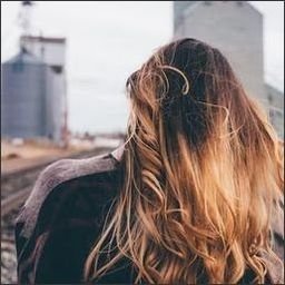 Talse157400's profile picture. 