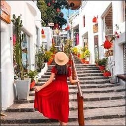 Eniqal8576's profile picture. 