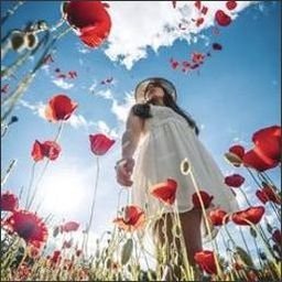 Uihookip8990's profile picture. 