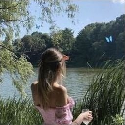 Pinep22274's profile picture. 