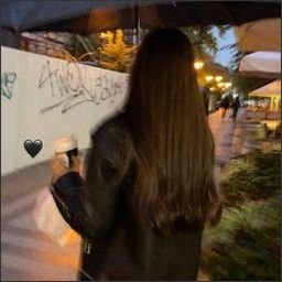 Treebou8995's profile picture. 