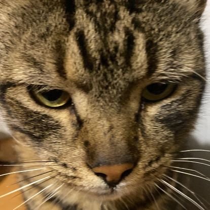 tiredamandaki's profile picture. this is a diary ig | multifandom